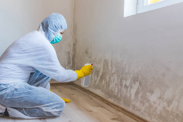 Bathroom Mold Removal assessment in Highwood bathroom